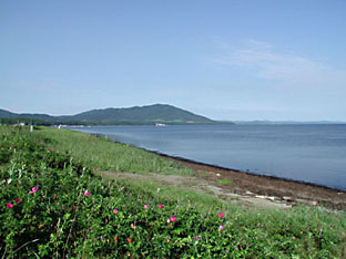 サロマ湖岸からの風景。