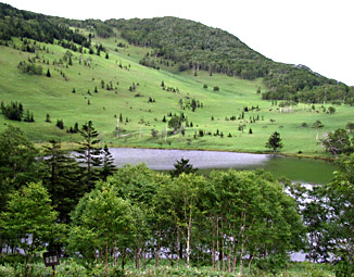 自然に出来たとは思えない東雲湖の光景。