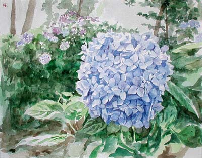 紫陽花（2007年）｜常設展・代表作（水彩）