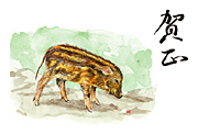 年賀状・2007年